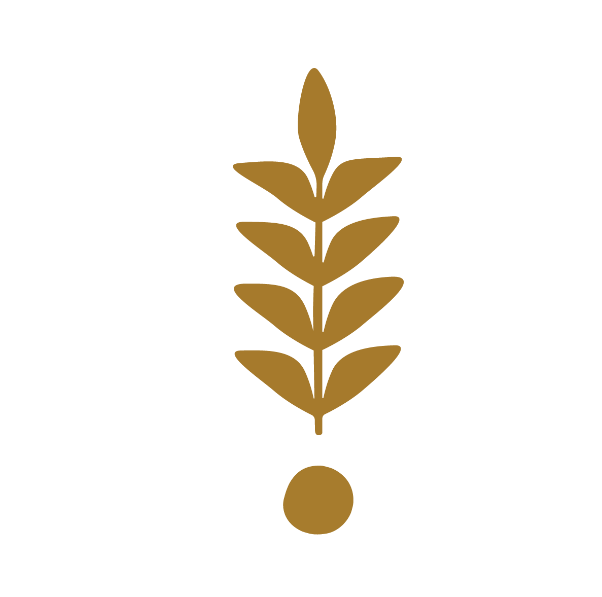 Bi-couche Praliné spéculoos & Ganache Citron