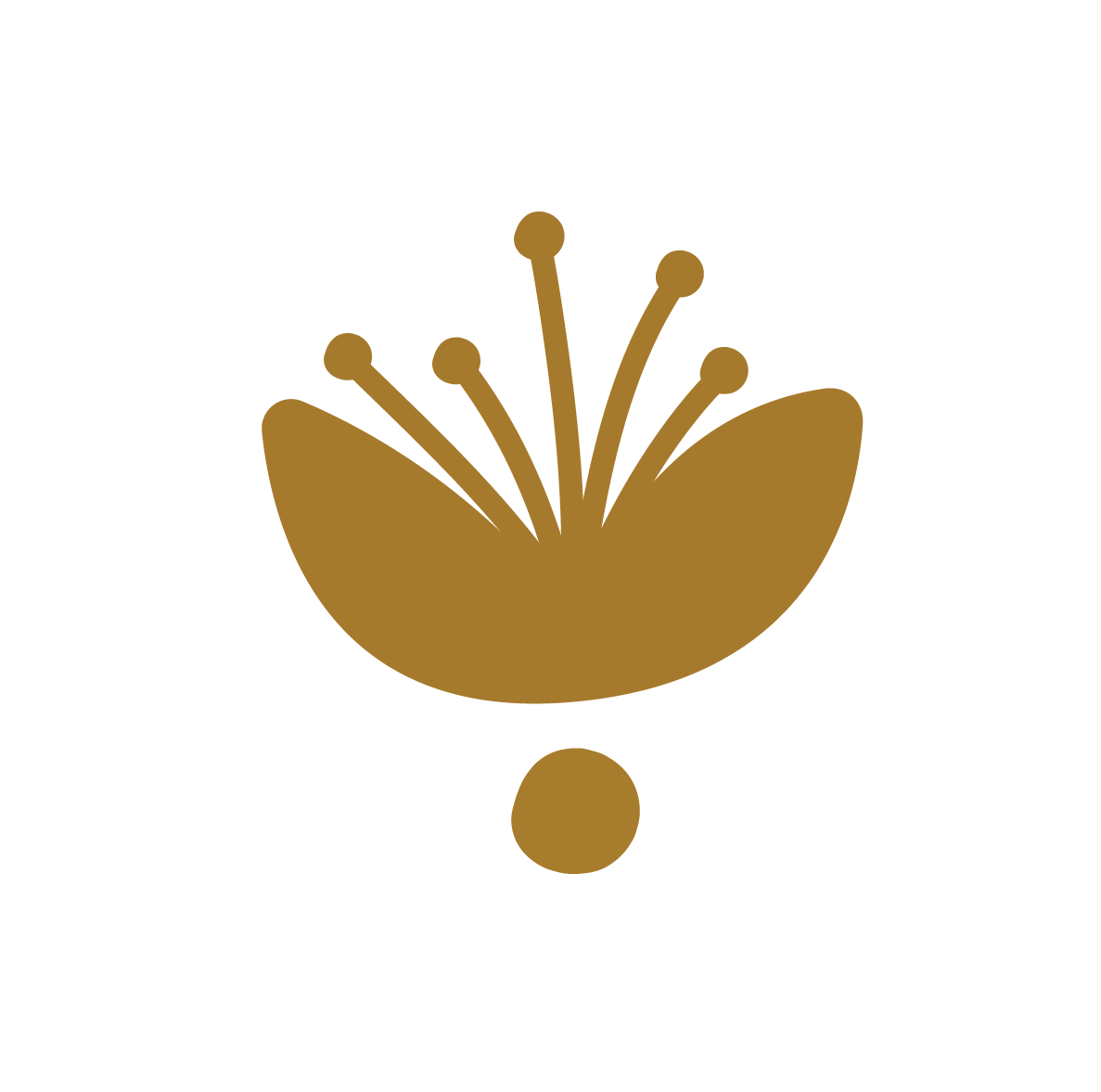 Praliné Riz soufflé & Vanille